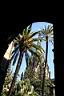088_ambit_Cathedral_de_la_Santa_Cruz_y_Sta_Eulalia.JPG