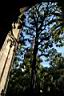 091_ambit_Cathedral_de_la_Santa_Cruz_y_Sta_Eulalia.JPG