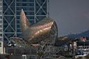 286_Golondrinas_Port_Olimpic.JPG