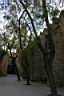 300_Museu_Mariti_a_Drassanes.JPG
