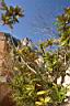 324_Montserrat.JPG