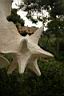 403_Parc_Guell.JPG