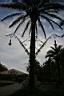 491_Passeig_Lluis_Companys.JPG