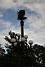 494_Parc_de_la_Ciutadella.JPG