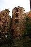 IMG_8574.JPG