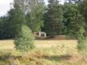 N2-205-4.JPG